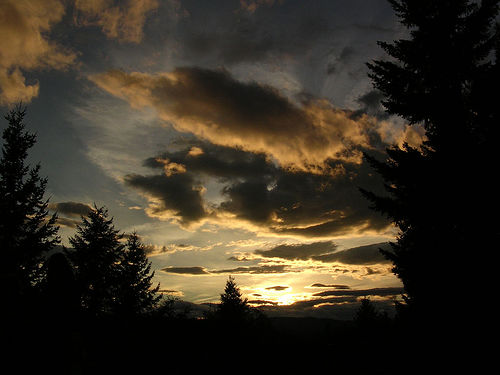 Spacious Passion & Passionate Space: pullquote – we can realise the
potential of non-dual.